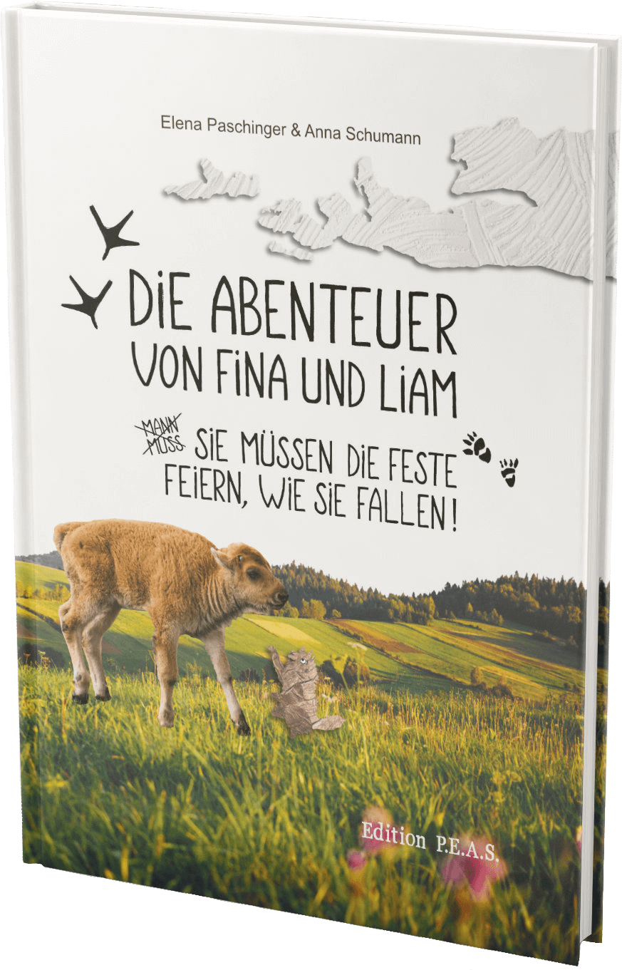Buchcover FuL Band 2 freigestellt Buchcover Fina und Liam Band 2