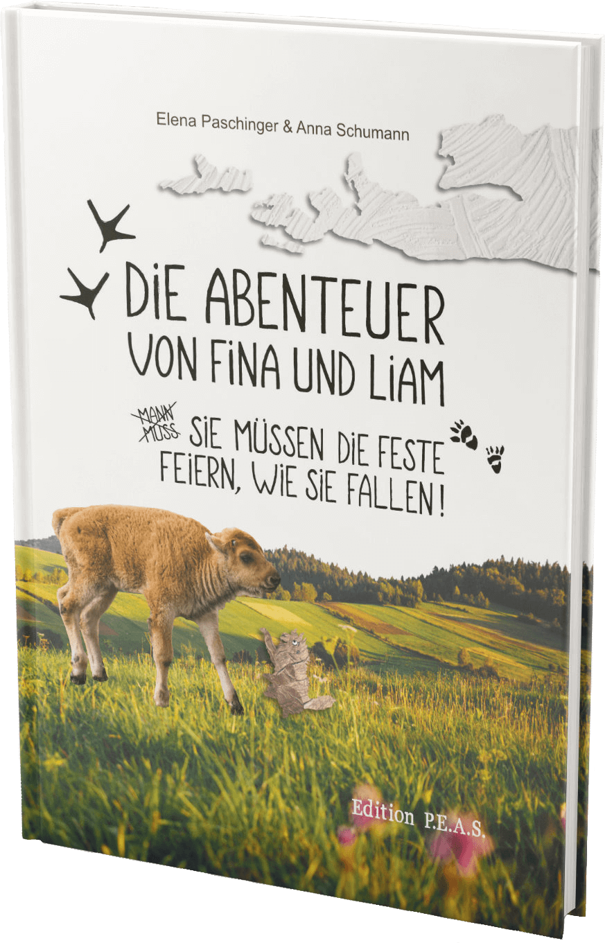 Buchcover Fina und Liam Band 2