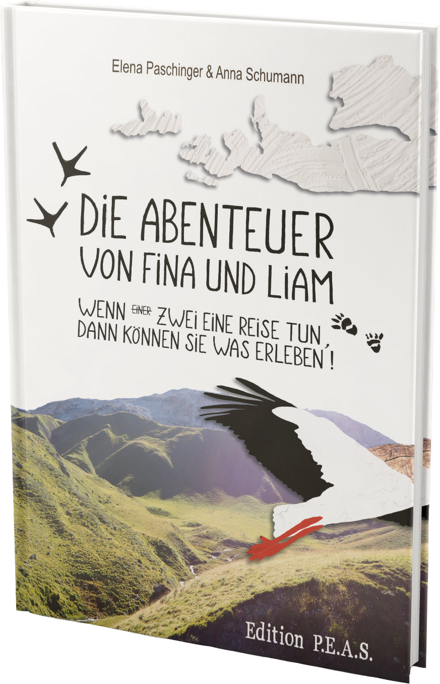 Kinderbuch Die Abenteuer von Fina und Liam, Band 1<br />
